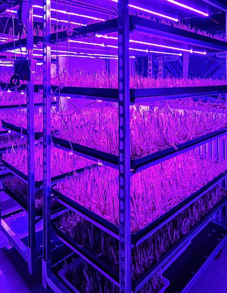 Cultivation image 1